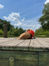 NRS CFD Dog Life Jacket - Cedar Creek Outdoor Center