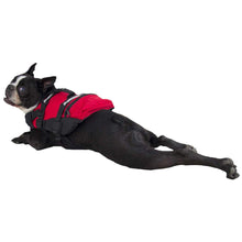 NRS CFD Dog Life Jacket (Canine Floatation Device) - Cedar Creek Outdoor Center